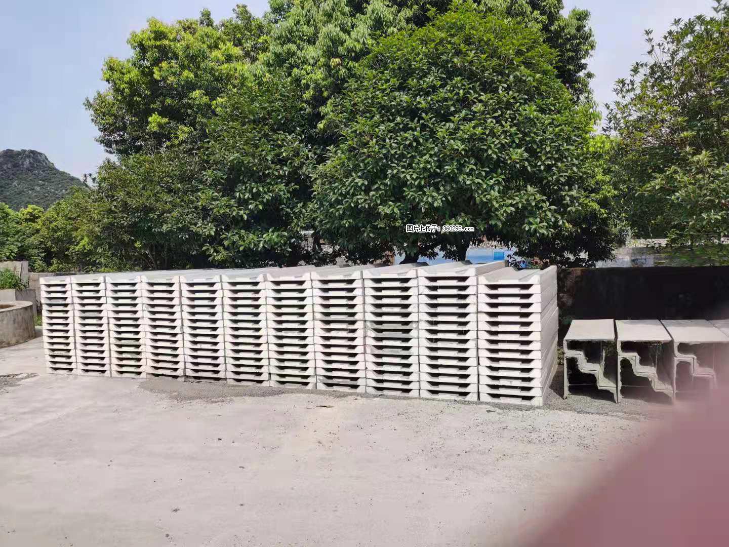 三象公司厂部产品(10) - 中山三象EPS建材 zs.sx311.cc